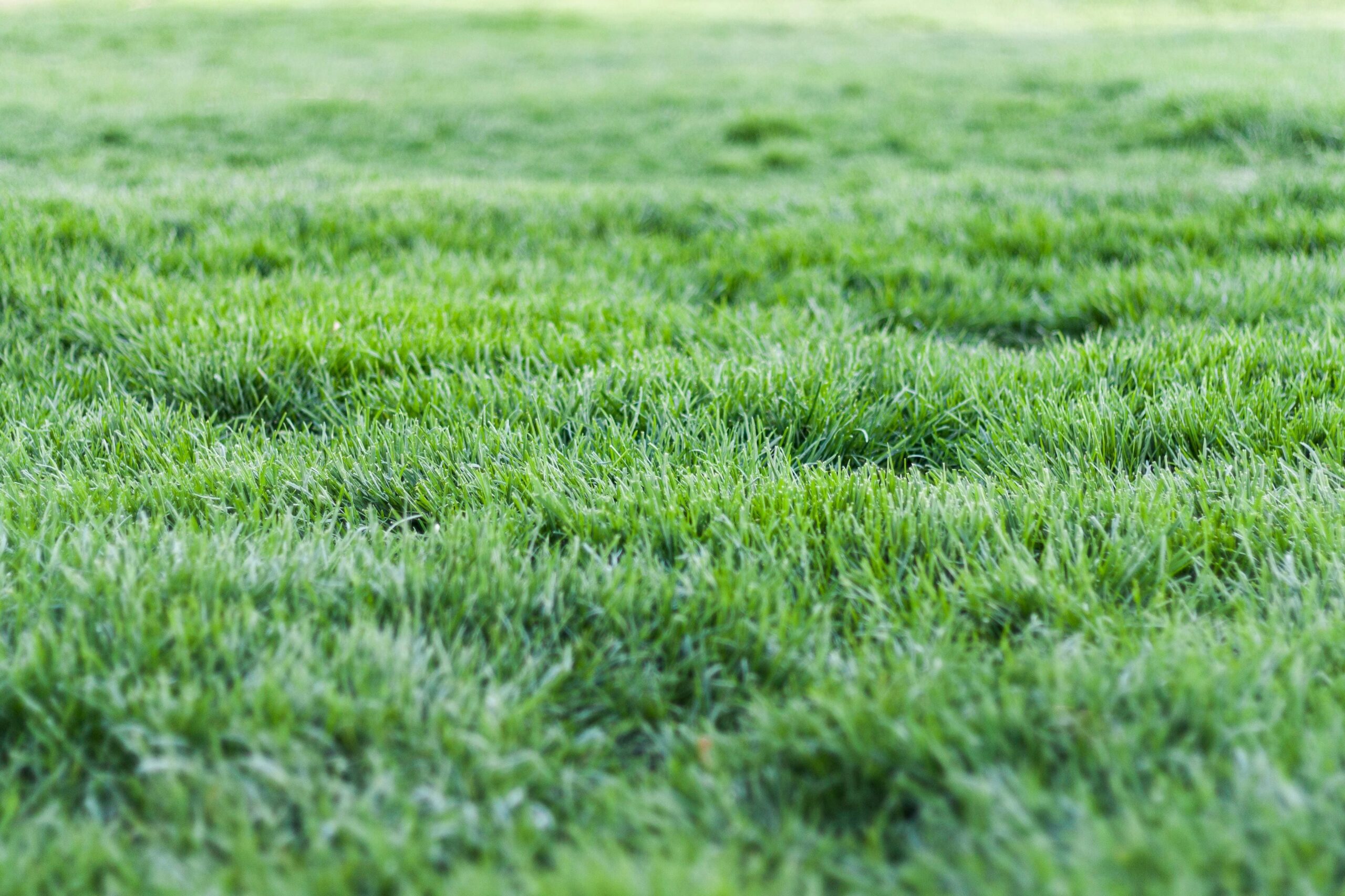 Lawn Care en Estados Unidos